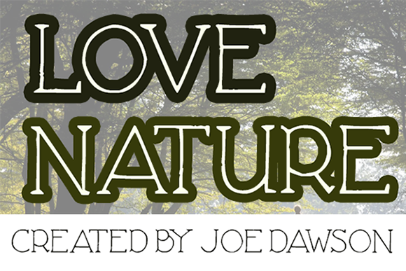 A Serif Typeface That Brings Warmth to Your Small Business Brand