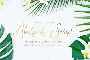Abidzarly: A Script Font That Adds Bold Character to Web Design