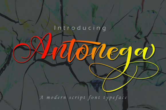 Antonega: A Script Handwritten Font for Modern Web Design