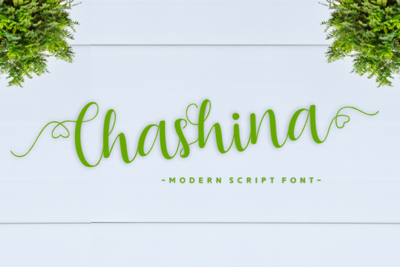 Chashina: The Handwritten Font That Makes Campaigns Click