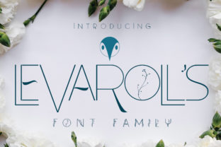 Leva Rolls: A Gentle Sans Serif Font for Your Brand