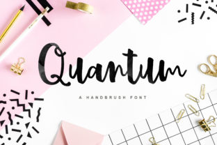 Quantum: A Romantic Script Font for Small Business Branding
