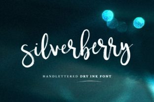 Silverberry: A Classy Script Font for Real Branding Projects