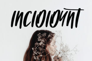 Testing Incididunt: A Script Font That Actually Works on the Web