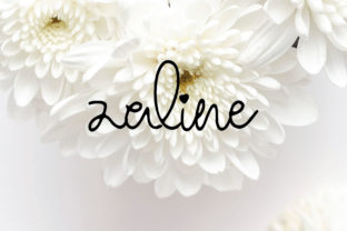 Zaline Script Font Review for Campaign Design and Brand Content